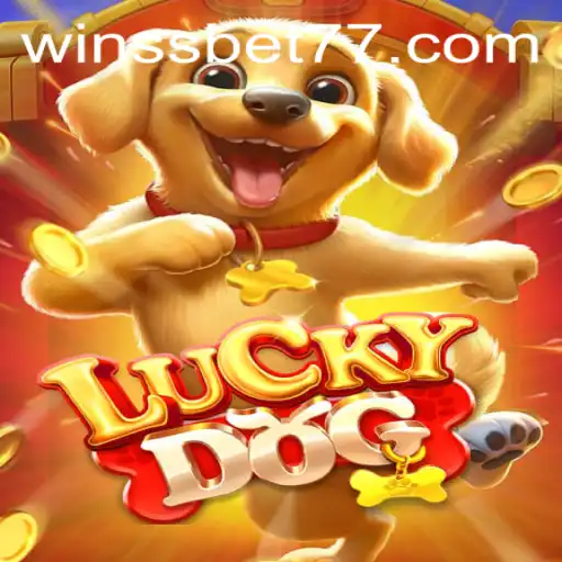 Unveiling LuckyDog: A Thrilling Adventure with SSBET77.COM